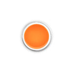 ACRYLIC GEL 15 ORANGE FLUO 15ML - immagine 2